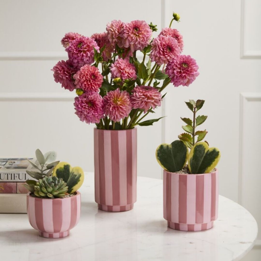 Pink Striped Pot – 5″
